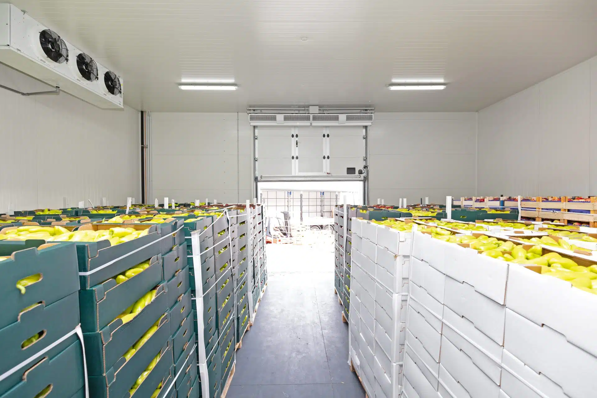 Food grade warehouse interior