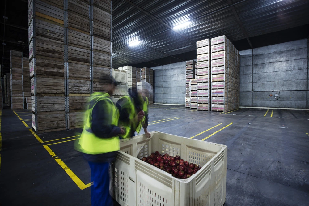 Workers inspecting food products in distribution warehouse
